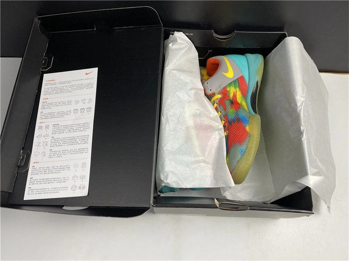 Snug Nike Kobe 8 GC Venice Beach 555035- 5039